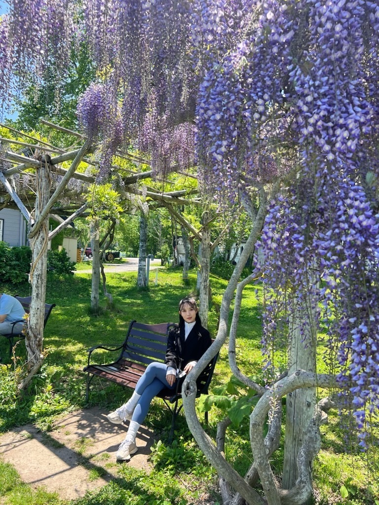 Thumb 23896ac1 36cc 47dc 99f7 3fb6273a99bf