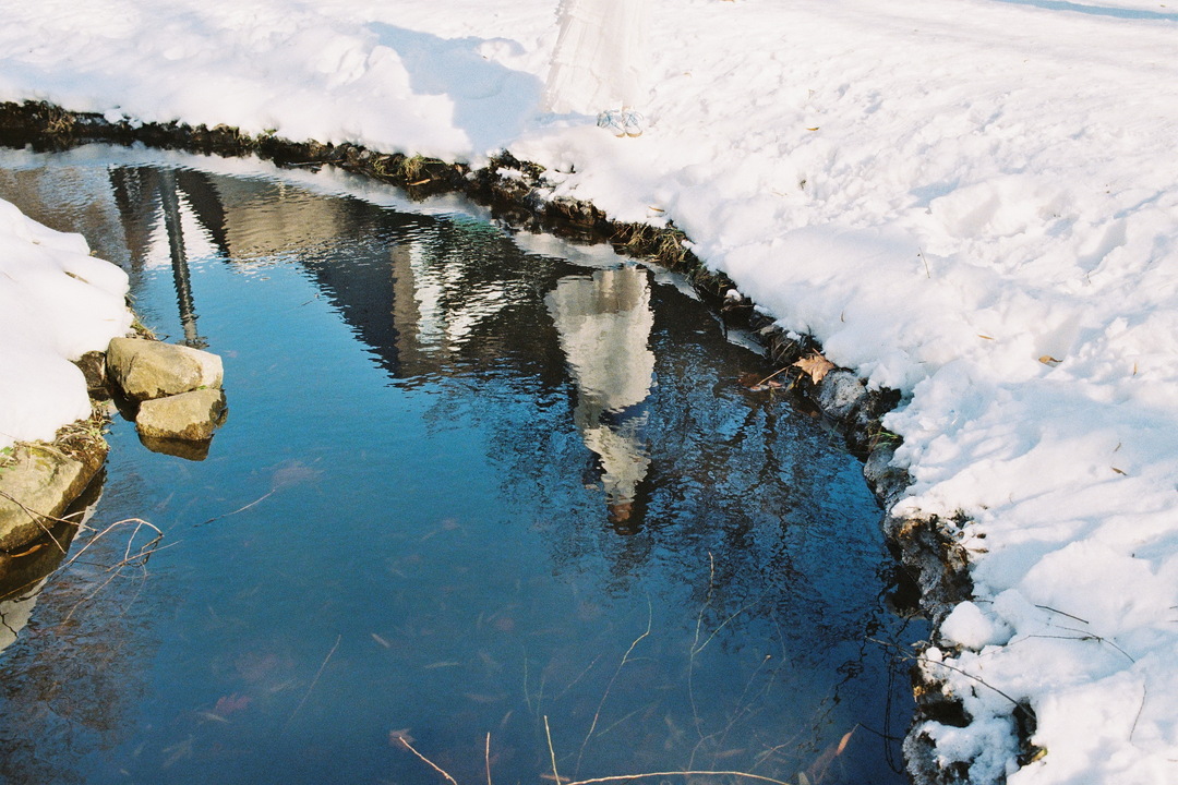 Thumb cf02d488 b537 46dd b7dc 1a8b3a32f598