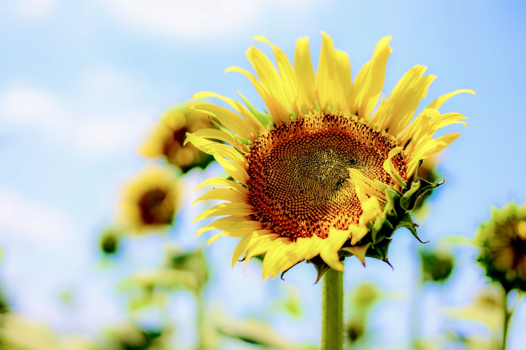 Thumb 98788ca3 d56f 4131 8f46 288d04e25b4f