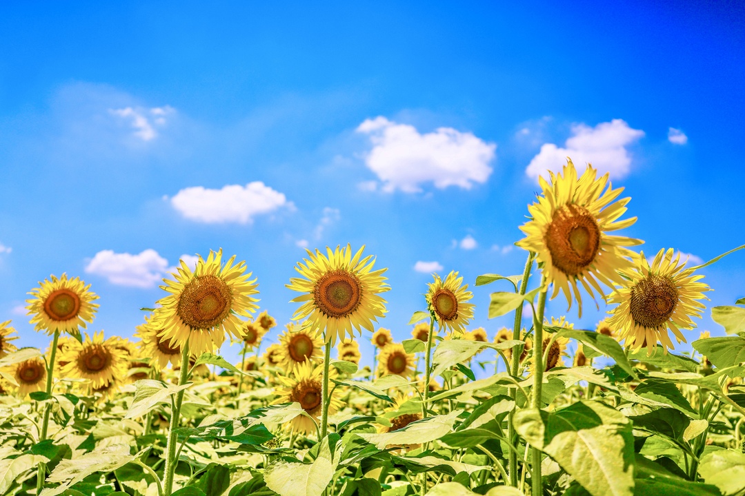 Thumb 9c37bfd6 13a9 41d7 a474 0ca221d19116