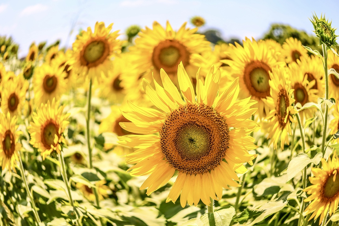 Thumb dbfa3c92 e9a6 4805 8a2b ddf83b906855