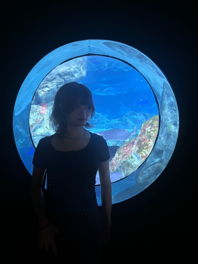 Thumb 55bbae02 92d9 43d3 91f1 e8d90fe45c0d