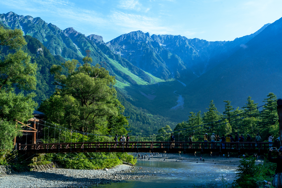 Thumb e1b6832a 5c86 4872 916b 30524e7546c0