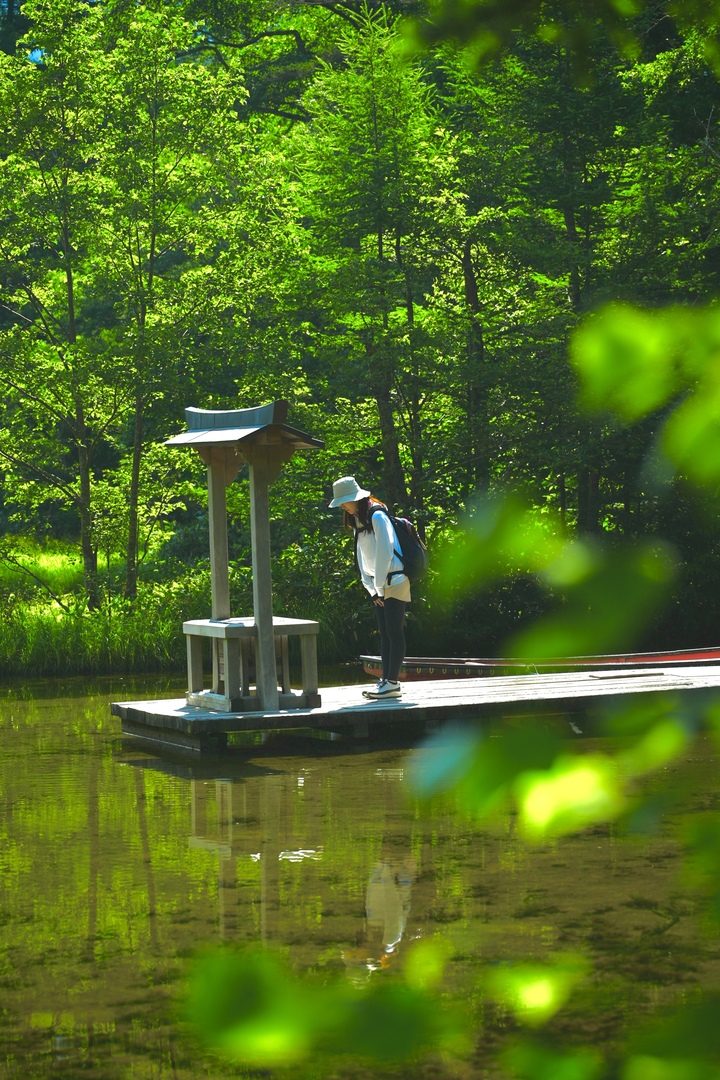 Thumb 0901ff6b 4230 423a b243 9a5e98844c83