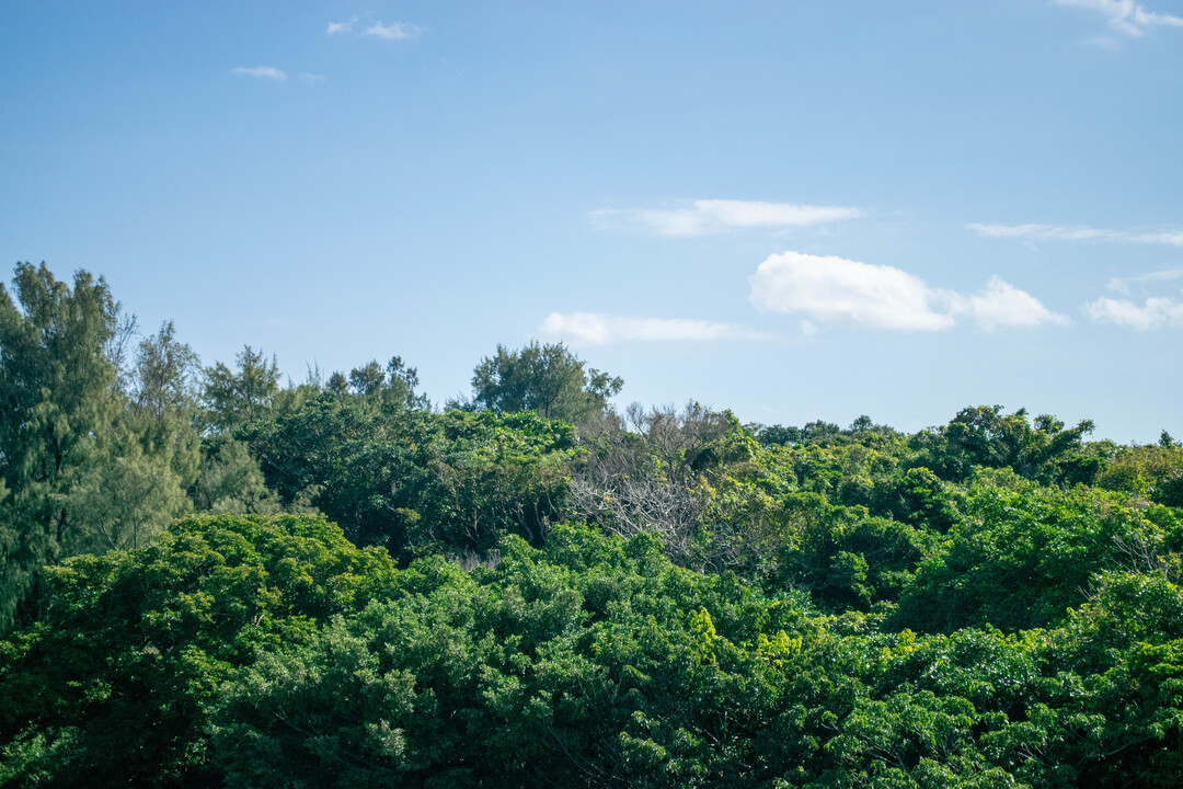 Thumb 7fe6de7f 6117 4f39 9496 e1e1b76dc47c