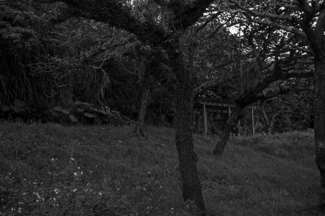 Thumb 95246337 a613 4967 9ea9 e6d7b6d50c0b