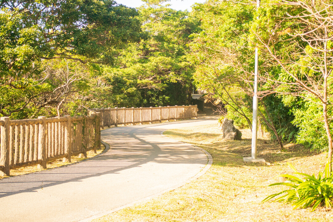 Thumb 6537a22e af28 4464 99fb bdfd8ec614bd