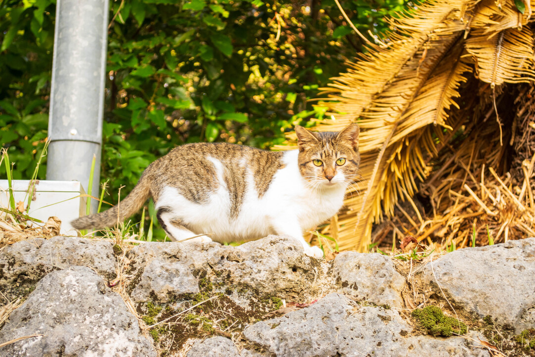 Thumb 5dad728c 94ad 42cf 8c62 f061bdb475e8