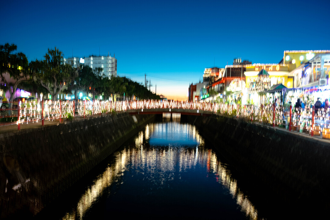 Thumb 21529cb0 bd16 4696 a4a1 9c7def99b42c