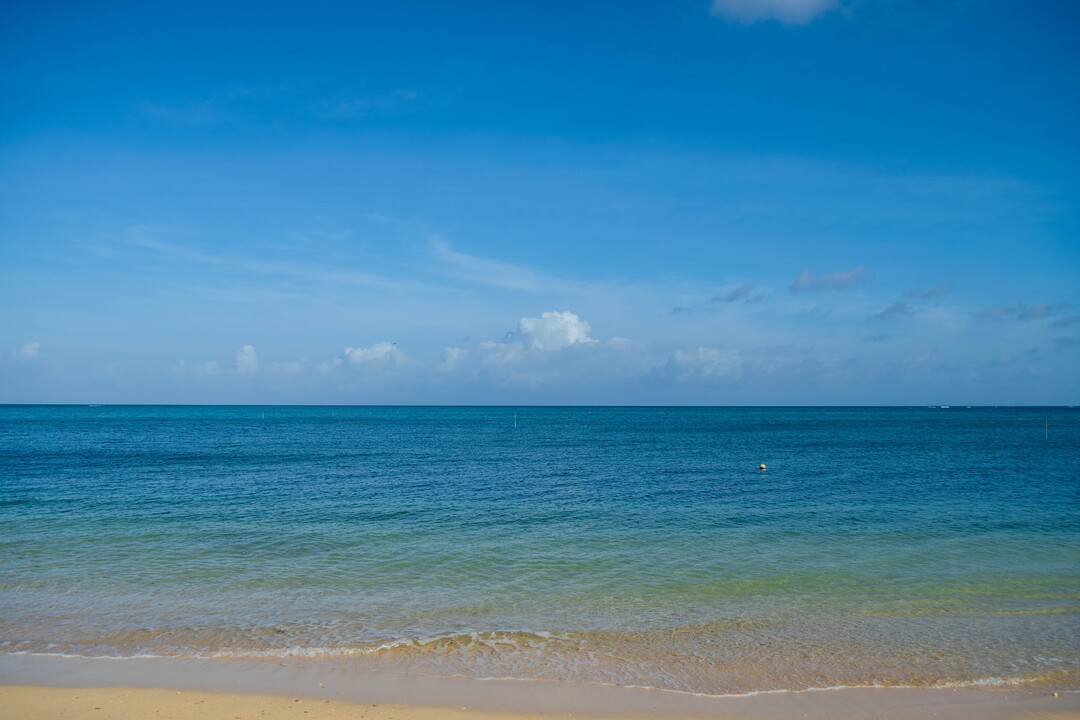 Thumb 34c4a3a5 994d 41d4 b37c bbf24bb5ae3a