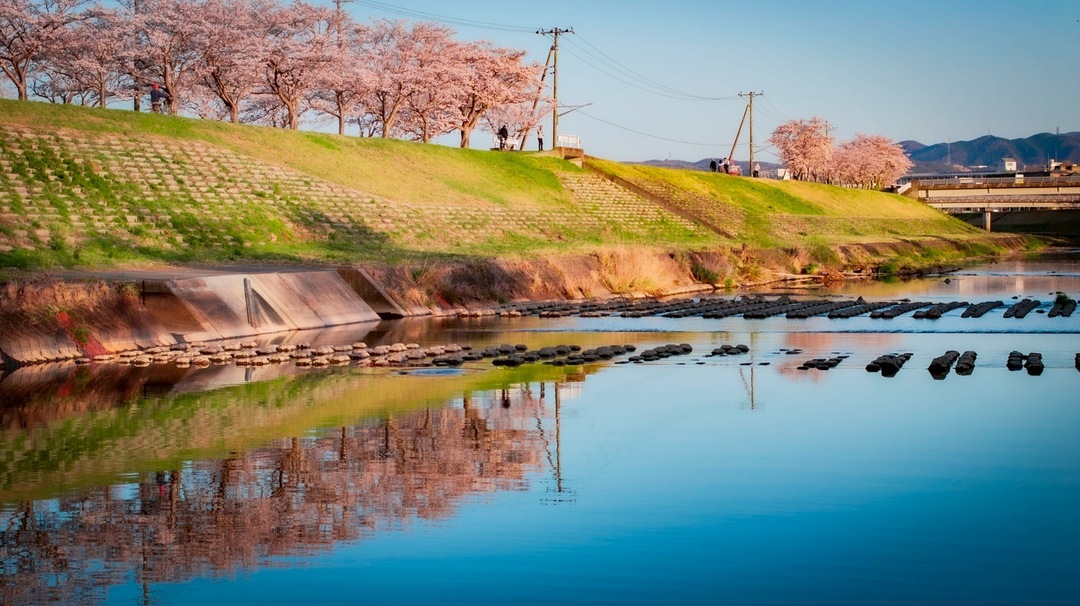 Thumb dbc8e908 116a 4aed 902c 2fd8b4b67092