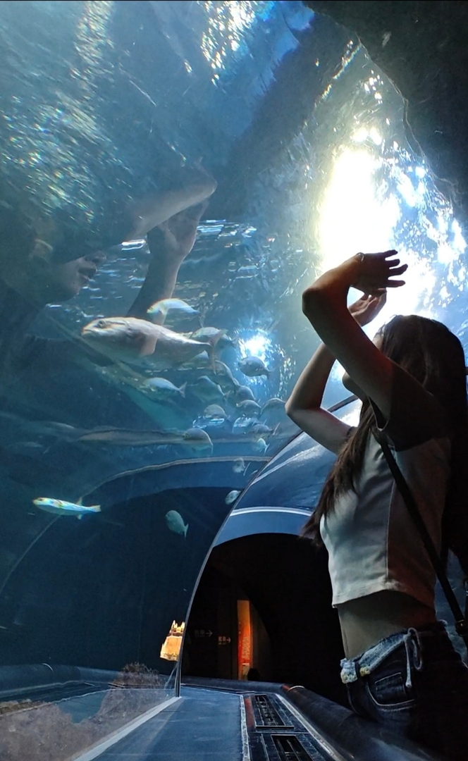 Thumb 358c4c03 c17c 499f 9295 d22e82d2b41f