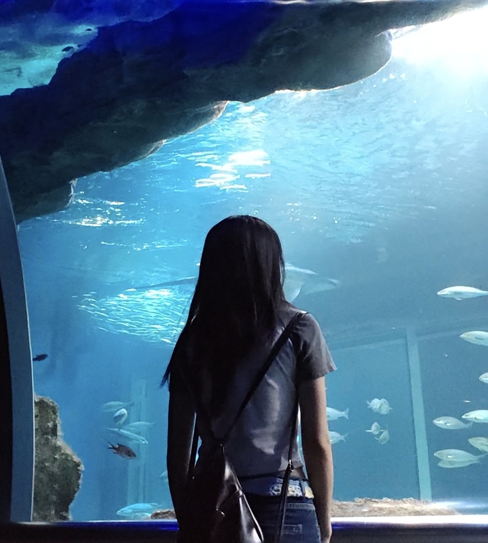 Thumb 2d7b173a d2f1 43ed a788 b49077407d31