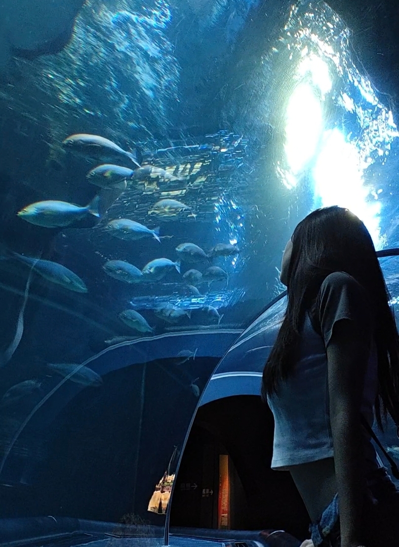 Thumb 66313eb9 fd87 435f 8d33 0dc8235a82c9