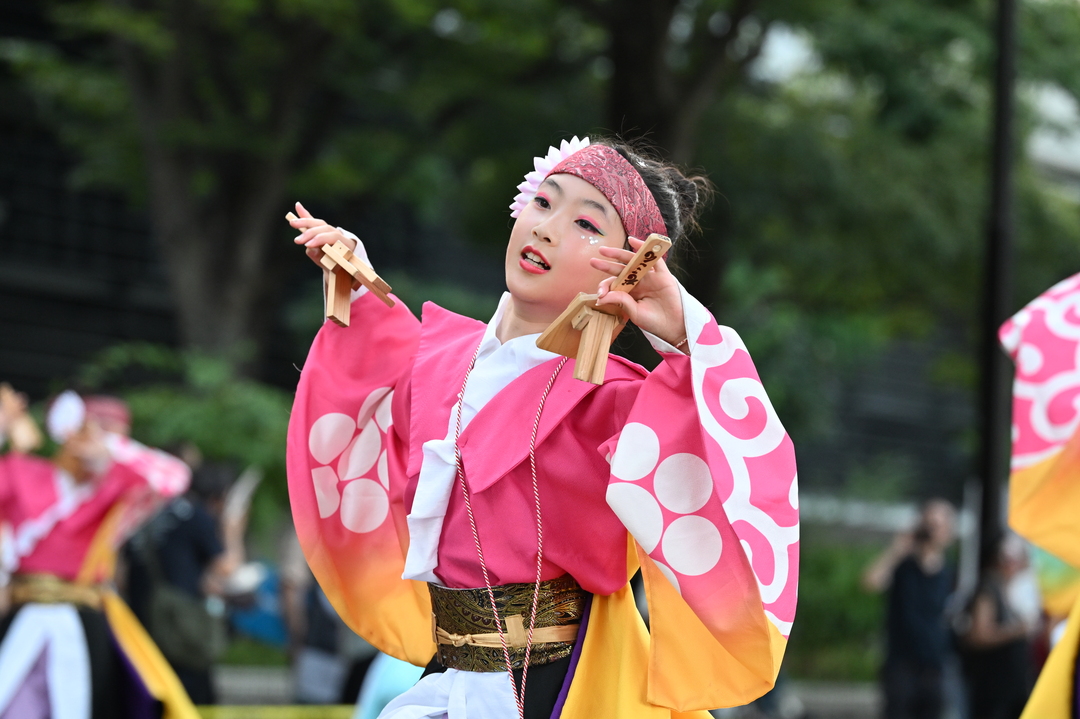 Thumb e15dddd6 3564 4657 b866 abb836233712