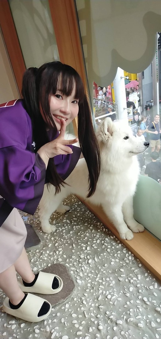 Thumb 018f47cc b16b 4602 a7e7 487ec107d747