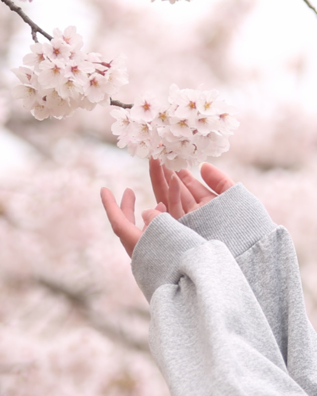 Thumb edb878b7 b2ad 47bd bc06 4e2a3c712e29