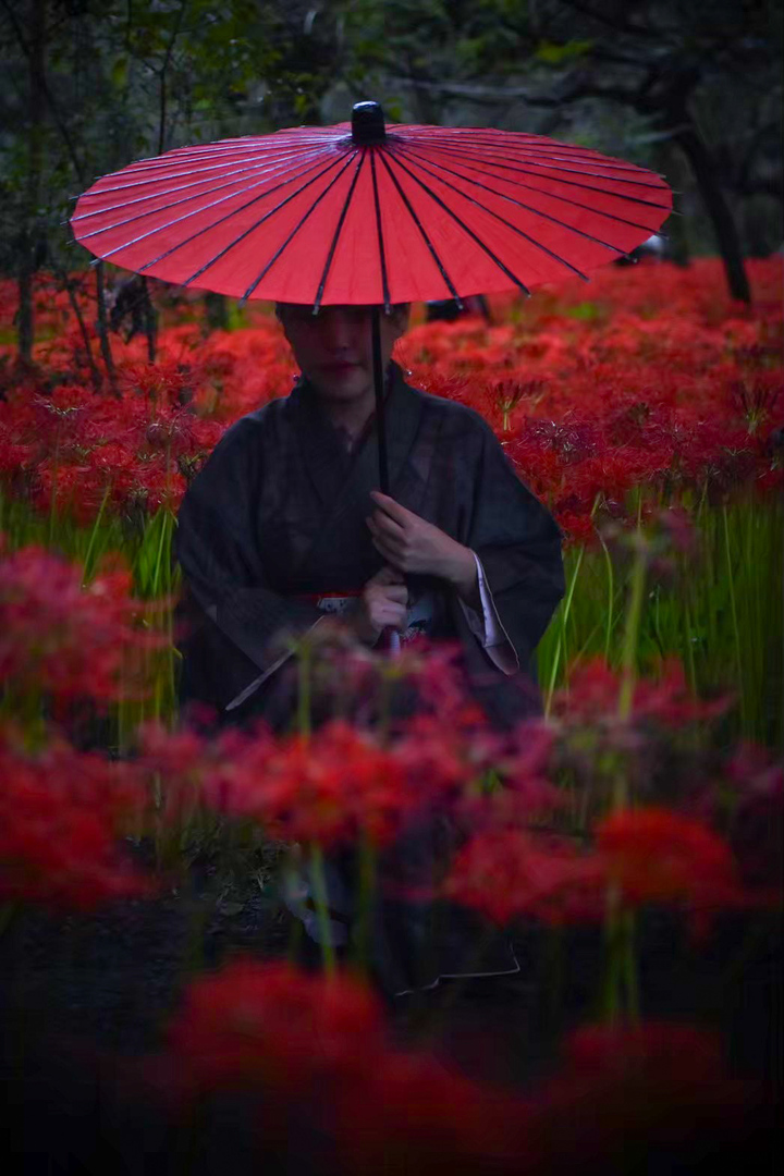 Thumb f90bb715 f58f 4316 8d74 3a84d52872ec