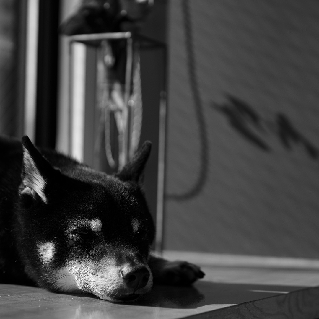 Thumb b72756e1 7693 4295 8673 ff1a450851d3