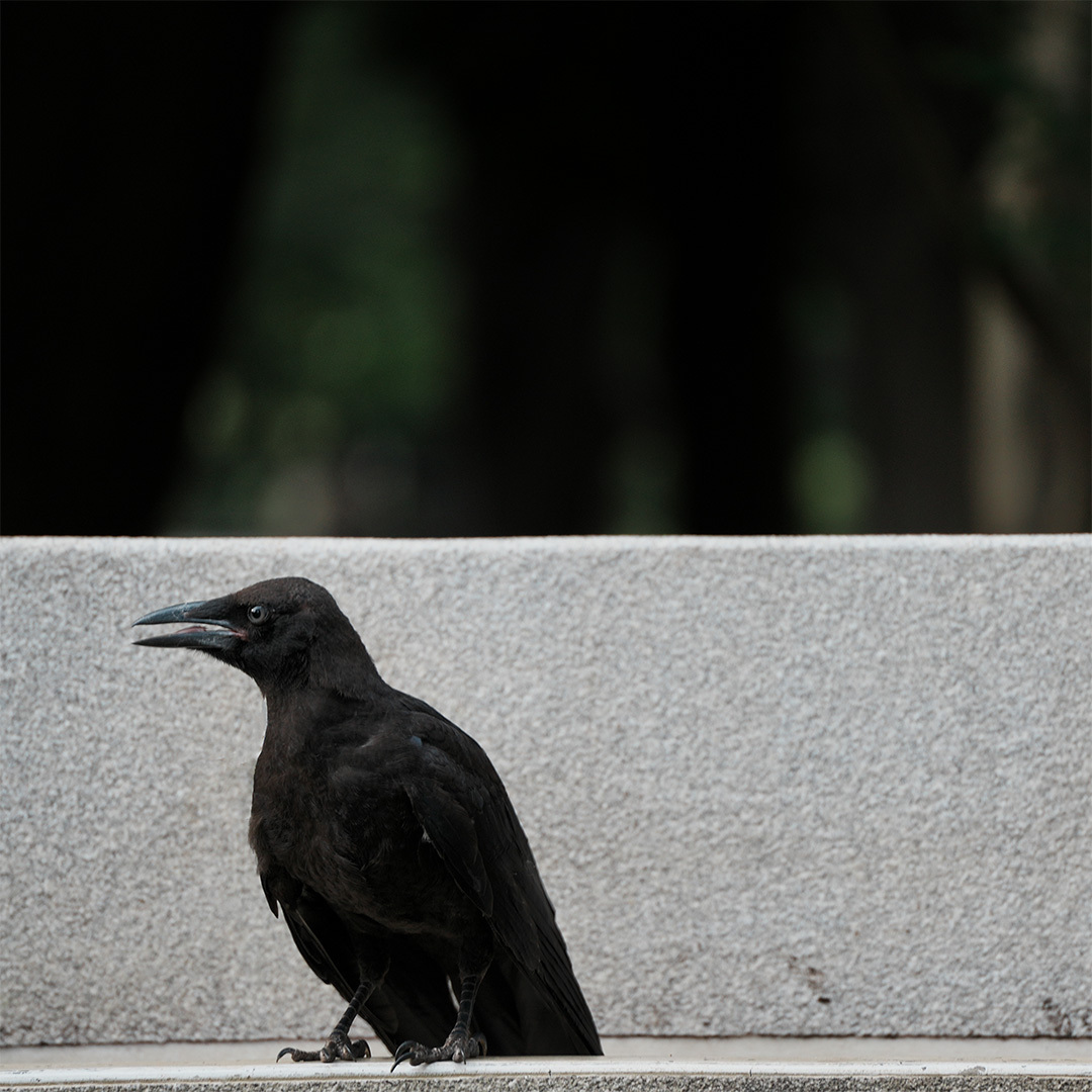 Thumb dc742a72 f618 4df4 b99c 97a78986fa2f