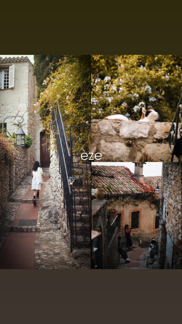 Thumb 541ae18d 4638 4490 b00f caafef6bbf0c