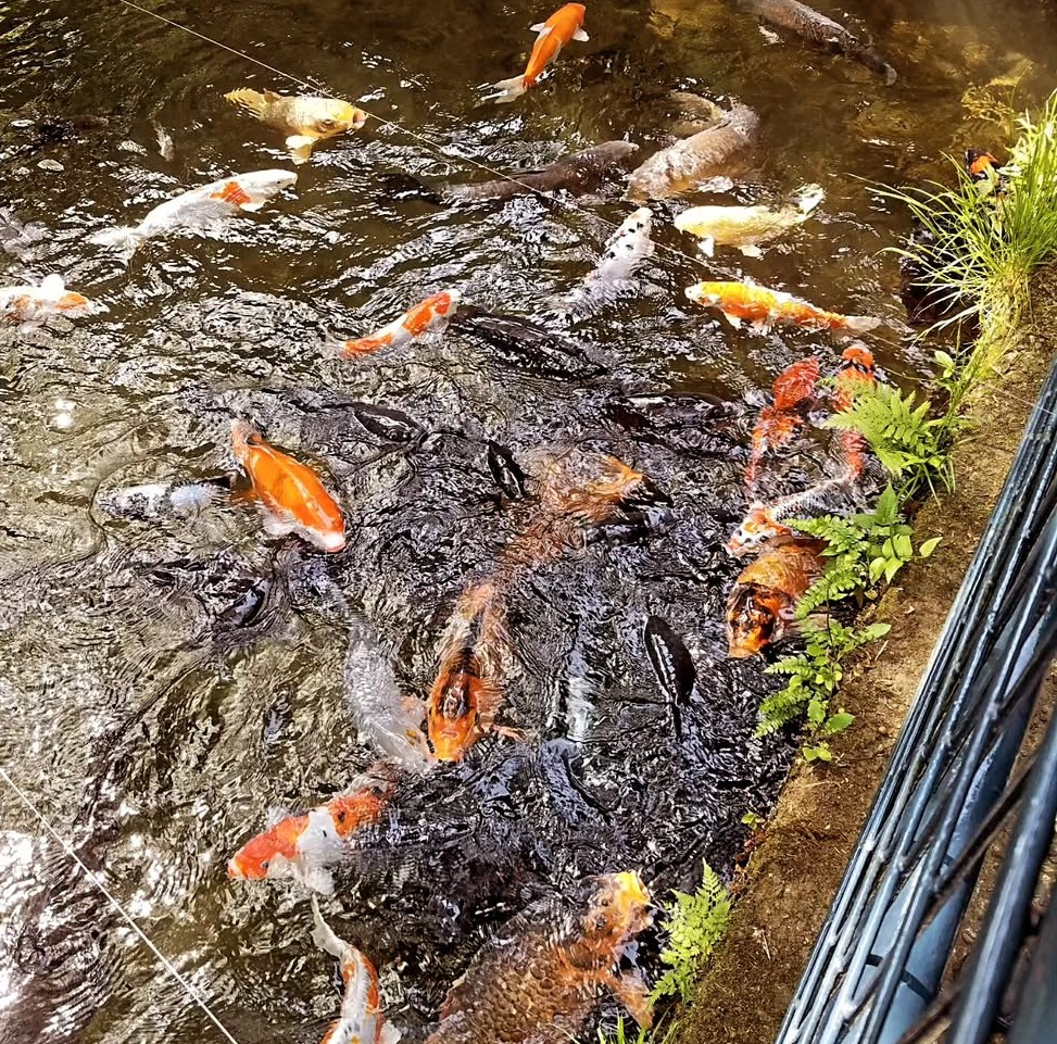 Thumb 59242b2c 3294 4386 9094 149146c26ee3