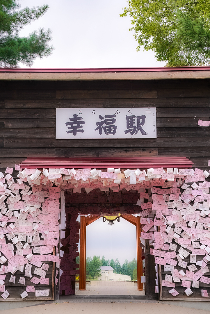 Thumb 279b870e a0b5 4869 bb36 ceccbdf76cd0