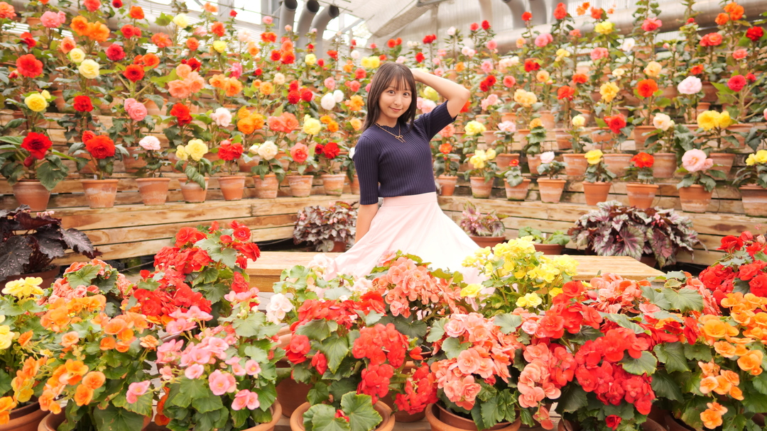 Thumb e070e79a 12b2 4613 9b2e 132343c32021