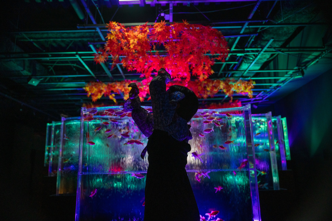 Thumb bffb5862 1088 4faf aa2c 5c56e369e461