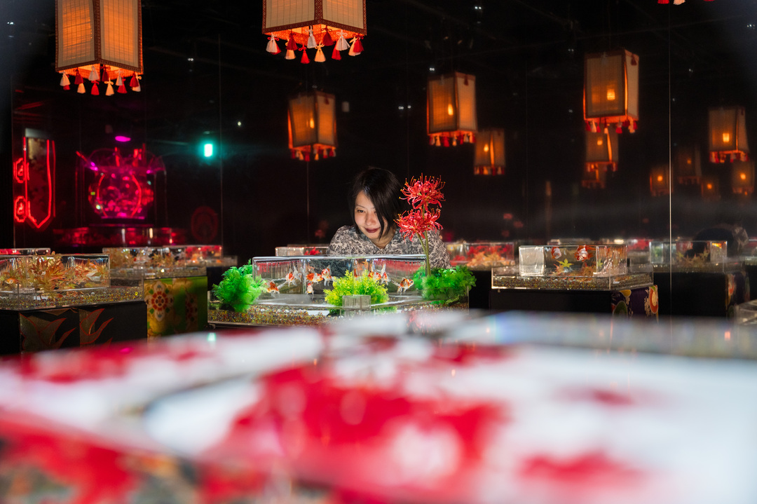 Thumb 2669f87b 3156 4462 a627 16f63a0e2475