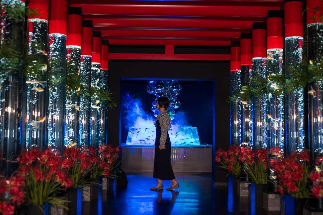 Thumb 4ee9bf76 0b8b 4777 9d93 fc2774b7e13c