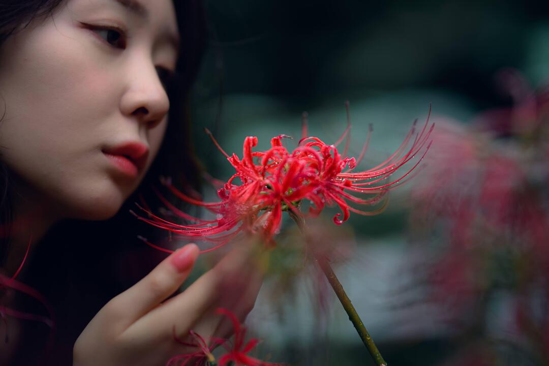 Thumb a17a972d df09 4542 a31a 4d88eaf80735