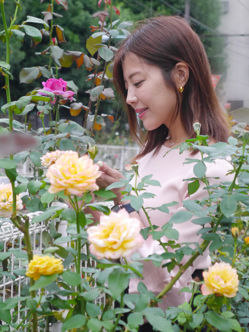 Thumb 1f3a3be3 eba5 4ce7 a528 a8dc38e2ef4e