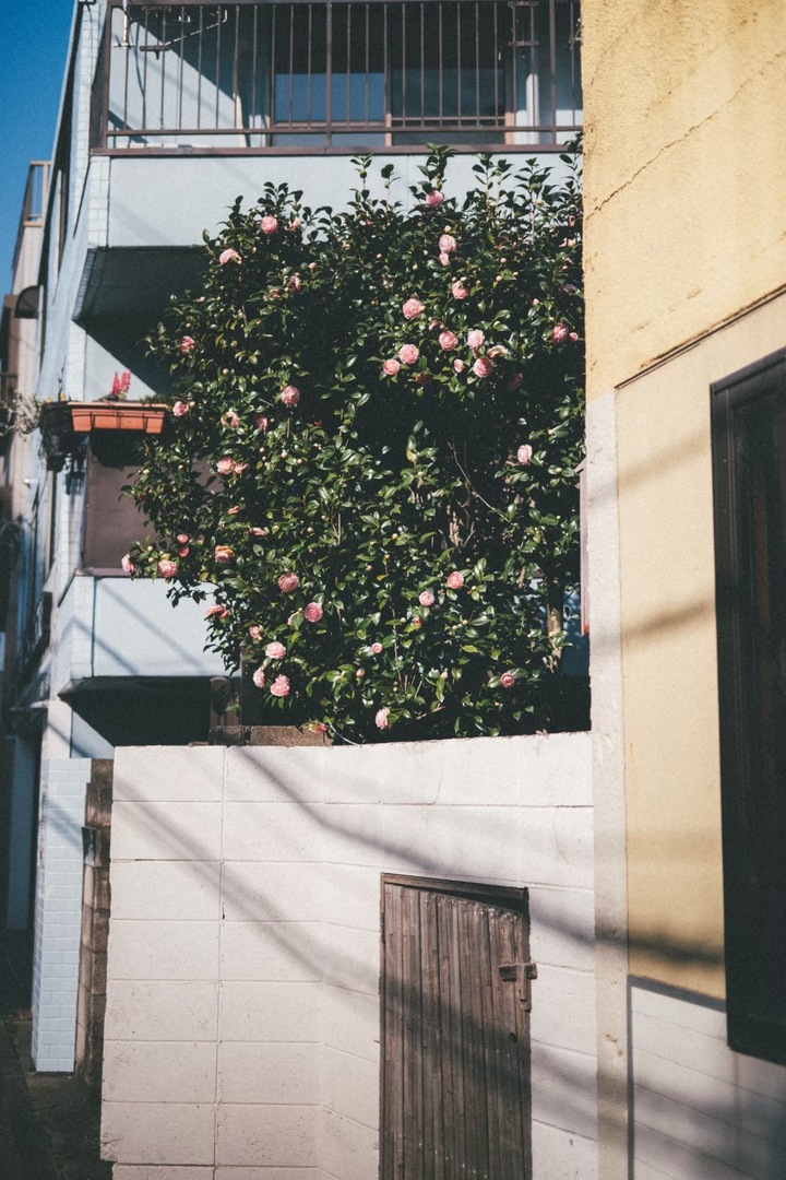 Thumb a50b9ccf 1916 4a64 ae9e edb955699fb7