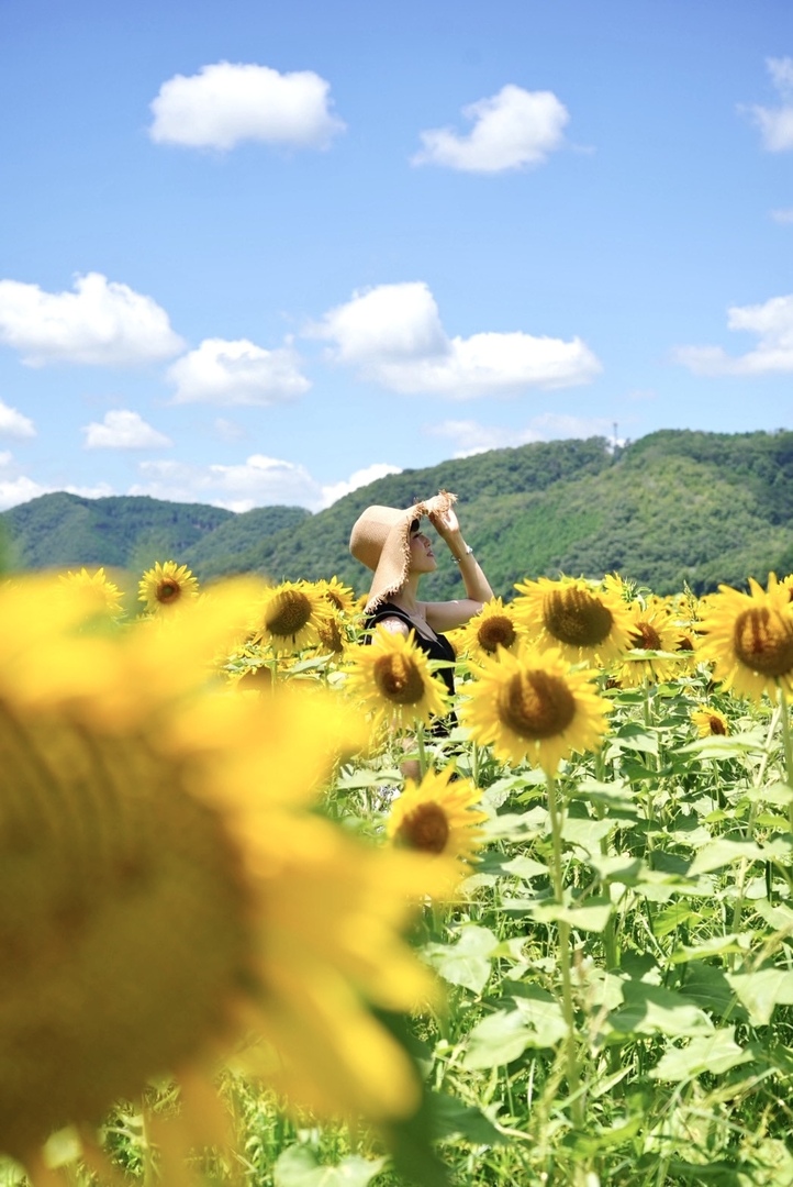 Thumb 99093163 284a 43b0 9292 41f49ba98f96