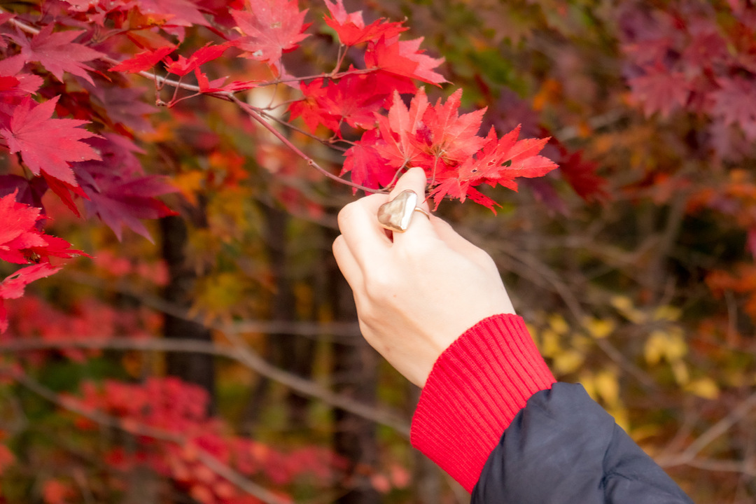 Thumb 012e6408 8411 48c7 b8cf eba0e685d7c7