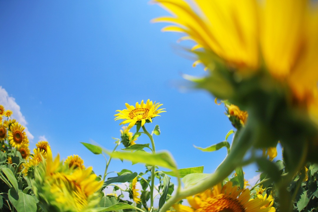 Thumb 05497cf1 81f7 4265 9e86 a32571ed027f