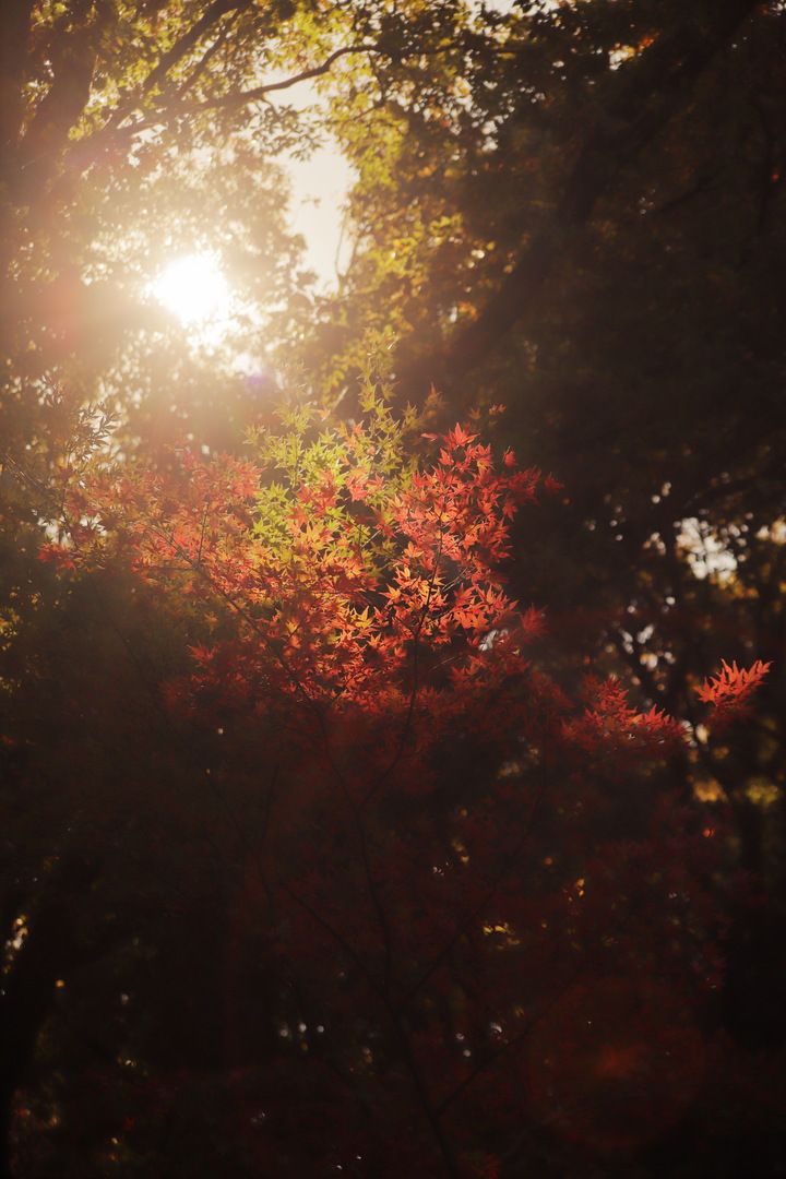 Thumb 57fbc39e 4b9c 4374 babb b42f796bd83f