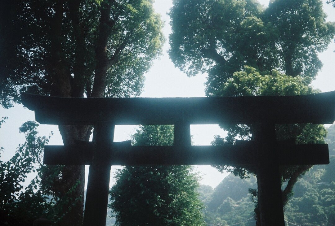 Thumb 1e9b1dee 867c 4d46 879d 9a174698eb9b