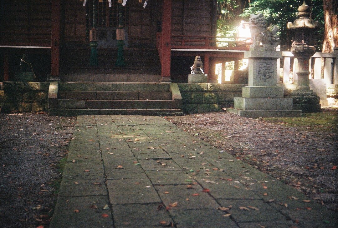 Thumb 1f187ba0 75df 480f b7e7 5f4cad3928d4