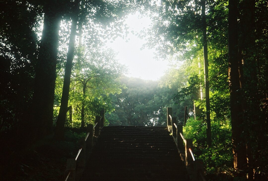 Thumb 466106d0 a330 44a3 a344 de4488ee12b5