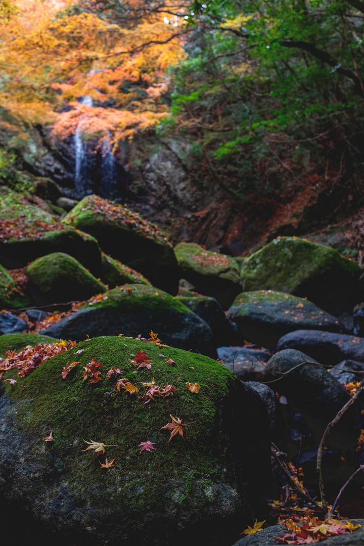 Thumb 79103fcc c1e3 4cf3 b232 ce15f2d9595d