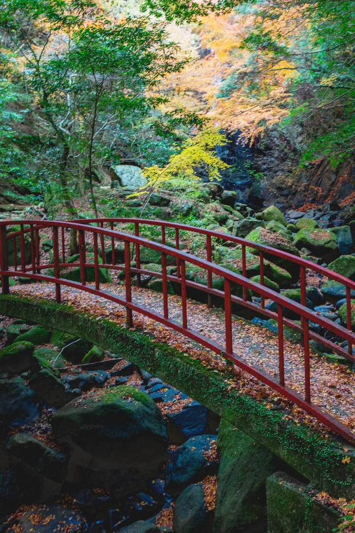 Thumb 3509a21b 5859 4555 ad86 57dd385a0d17