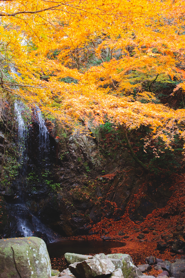 Thumb e51672c1 ae04 4ed1 8e37 5772e2d09037