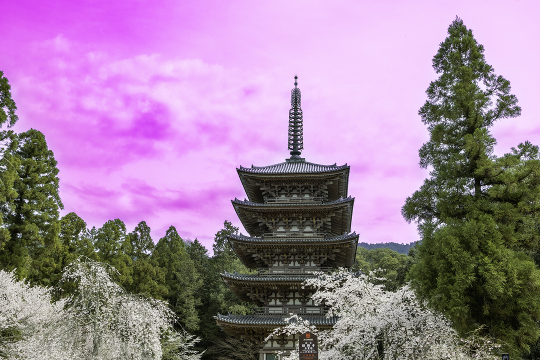 Thumb 62650a32 4ba9 454b 9fa2 66743e3e0c70