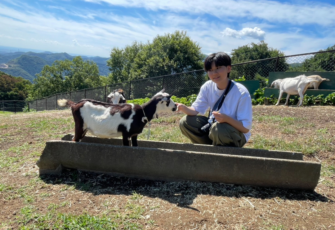 Thumb e5d38bb2 8c62 4930 8170 f7ef62e67b6c