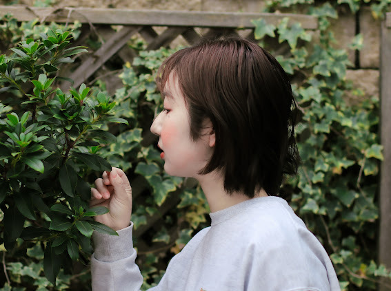 Thumb 018ec8dc 8429 49ce bc02 8dfd0302141d