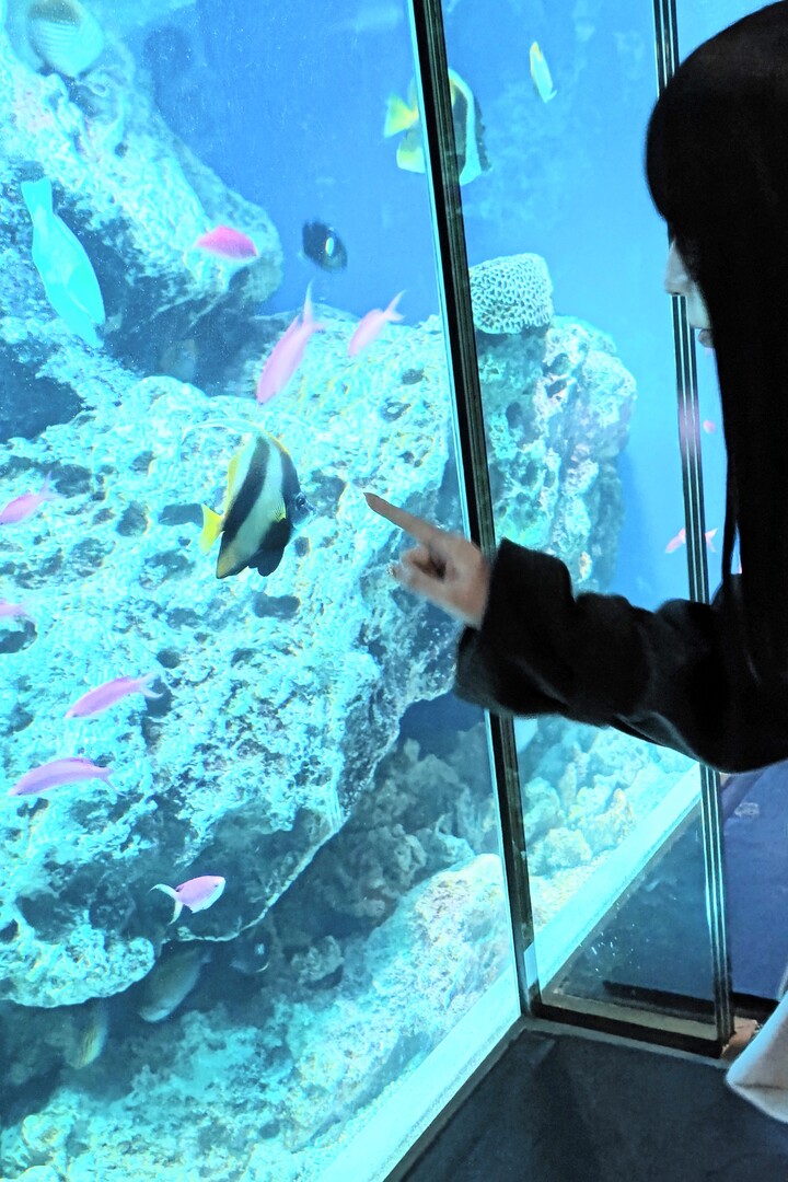 Thumb 424dbb83 74e9 4f28 b253 04663bf5d15f