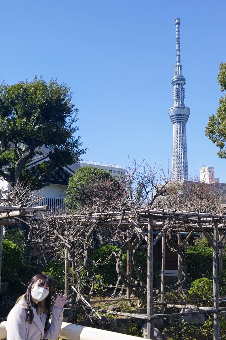 Thumb c6bbd583 38c6 4099 b669 bb0c7e5ee6b6