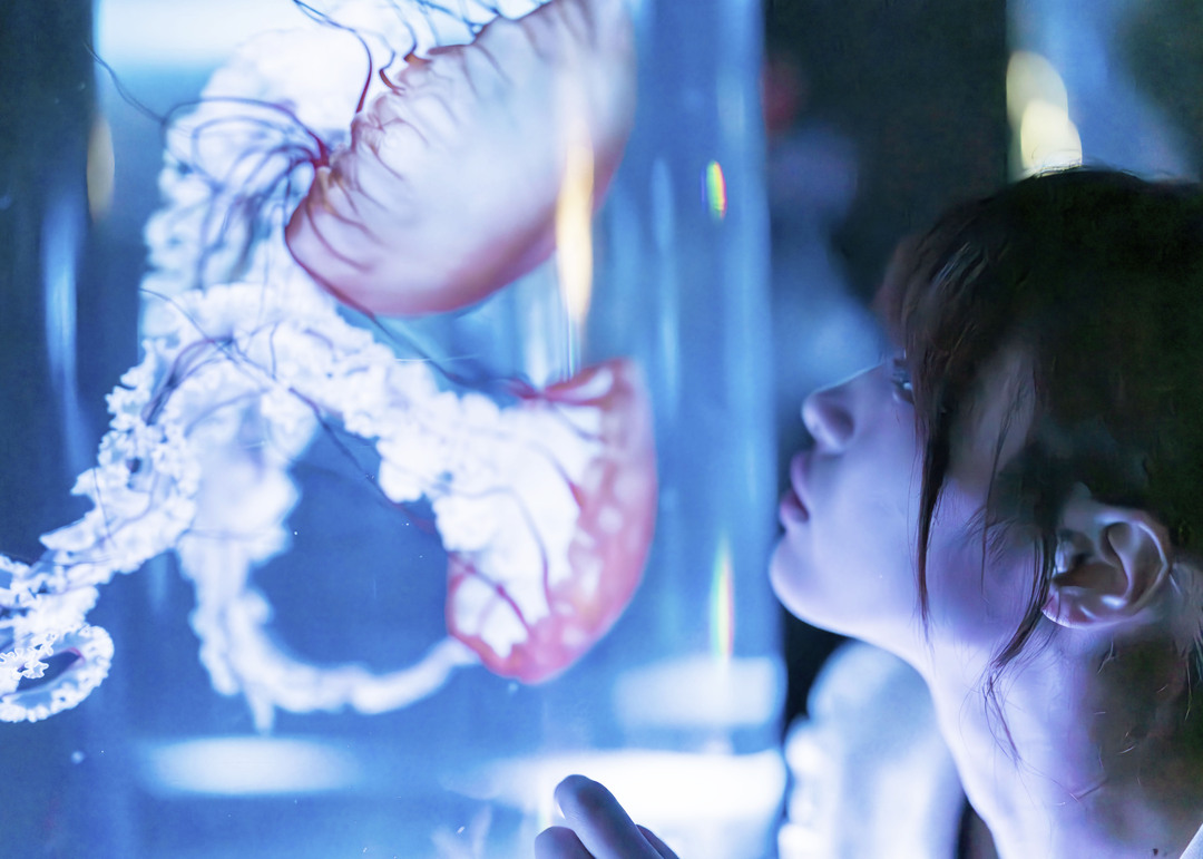 Thumb e16ec0c1 4c7a 4e5d ba8d 32715330e76e